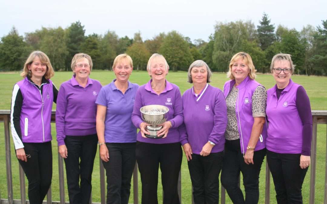 Stowmarket won the Stearn Trophy for the first time since 2006…